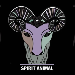 Spirit Animal