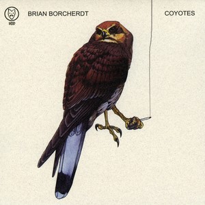 Coyotes Albumcover