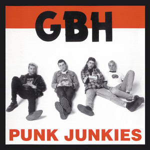Punk Junkies cover