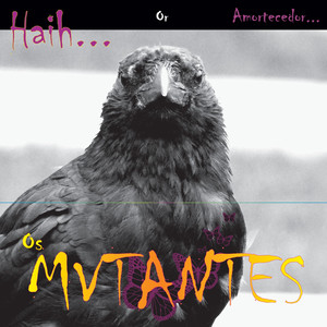Haih or amortecedor album