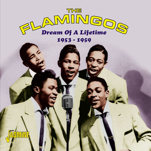 Dream of a Lifetime 1953-1959 album