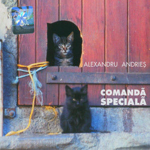 Comandă specială cover