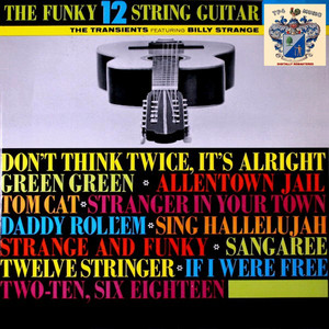 The Funky 12 String Guitar cover