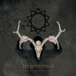 My Horns Are a Flame to Draw Down the Truth cover
