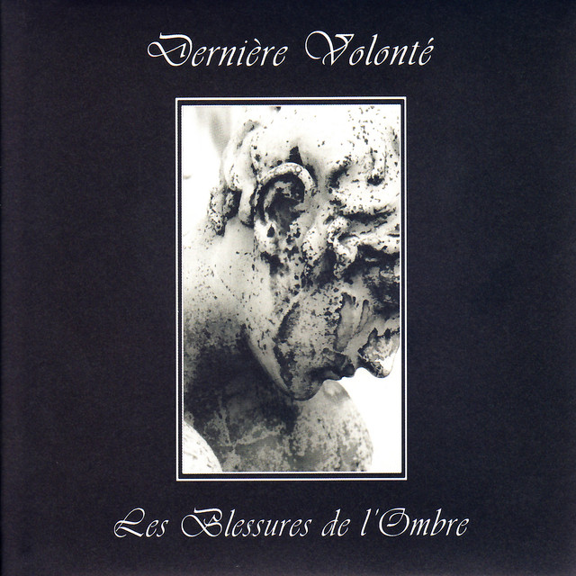 Les Blessures De L'ombre cover