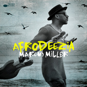 Afrodeezia album