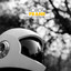 Robot and Frank (Original Motion Picture Score) cover