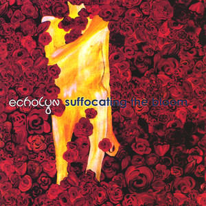 Suffocating the Bloom cover