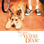 Because Of Winn-Dixie [Original Motion Picture Soundtrack] cover