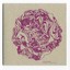 kaotic brain beautiful noise Albumcover