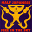 Fire In The Sky cover