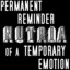 Permanent Reminder of a Temporary Emotion Albumcover