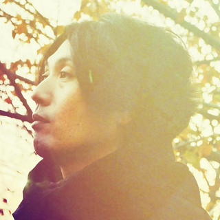 Arc of Doves Photo