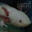 Errors Of The Human Body OST Albumcover