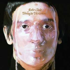 Vintage Violence cover
