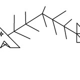 Fishbone Photo