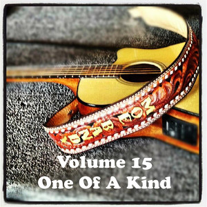 Volume 15 - One Of A Kind album