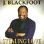 Stealing Love cover