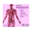 Skeletons Albumcover