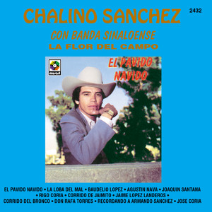 El Pávido Návido album