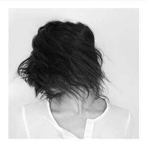 Artery cover