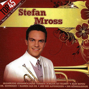 Top45 - Stefan Mross cover