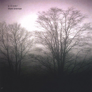 Silver cover