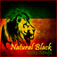 Natural Black : Roots Songs cover