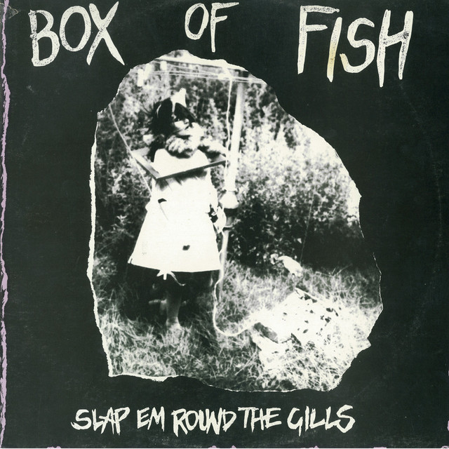 Box Of Fish Photo