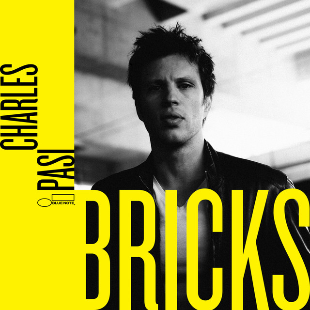 Bricks cover