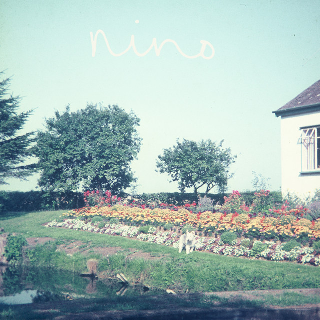Nino cover