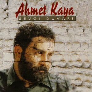 Sevgi Duvarı cover