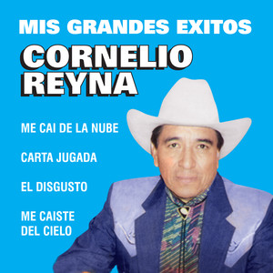 Mis Grandes Exitos album