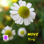 Sound Of Kyoto -Sukima-/Move Albumcover
