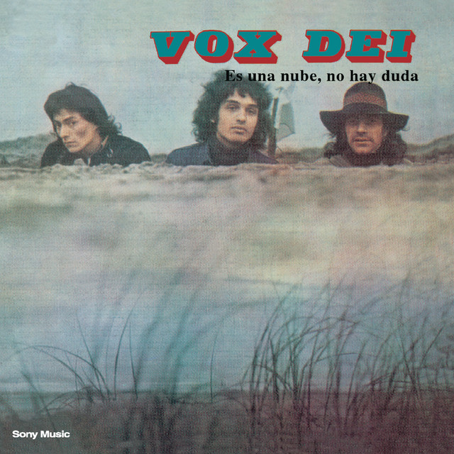 Es Una Nube, No Hay Duda cover