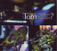 What Means Solid Traveller? cover
