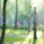 Little Moscow Garden Albumcover