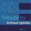 A Tribute to Enrique Iglesias, Vol. 2 Albumcover