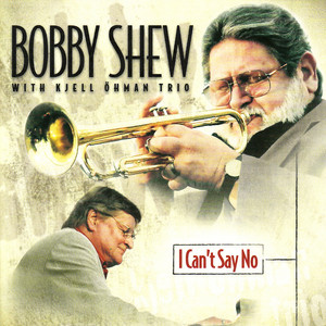 I Can't Say No album