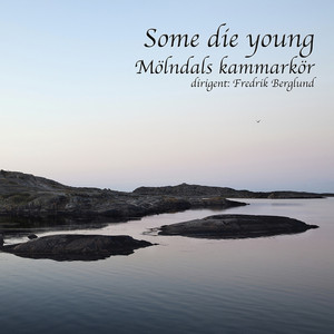 M&ouml;lndals Kammark&ouml;r