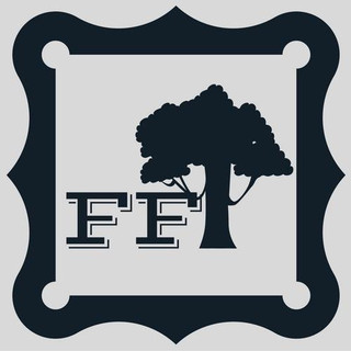 Forest for the Trees Photo