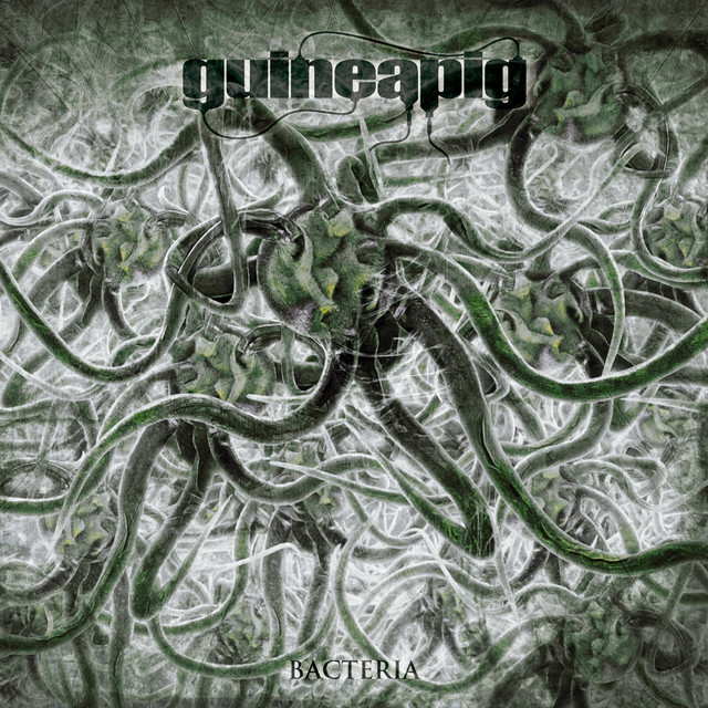 Bacteria cover