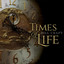 Times of Life Albumcover