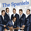 The Spaniels Greatest Hits Albumcover