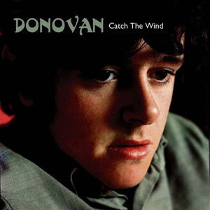 Catch the Wind album