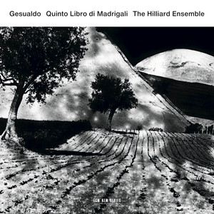 Quinto Libro di Madrigali cover