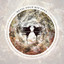 Blessed & Cursed cover