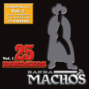 25 Bandazos de Machos (Vol. 1) [USA] album