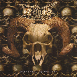 Awakening of the Liar cover