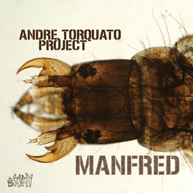 Andre Torquato Project Photo
